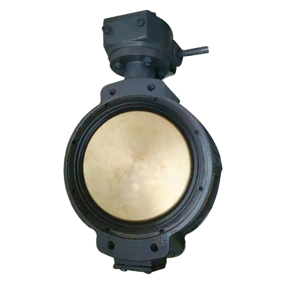 Marine Worm Manual Butterfly Valve